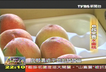【一步一腳印】網路行銷找活路 E起來賣水蜜桃