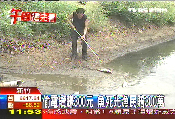 偷電纜賺300元 魚死光漁民賠300萬