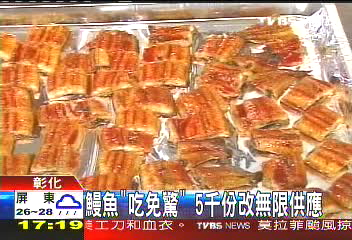 鰻魚「吃免驚」　5千份改無限供應