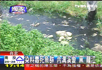 〈獨家〉染料毒死魚群　內溝溪變「黑」龍江