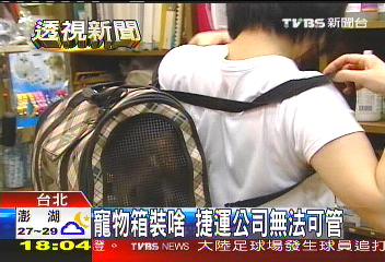 只要裝箱！帶蛇也可　捷運無法可管