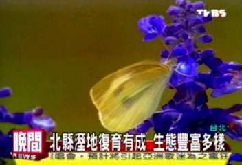 北縣溼地復育有成 生態豐富多樣