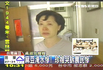 〈獨家〉親友文旦全泡湯 吳淑珍嫂哭腫雙眼