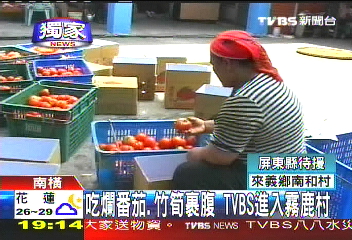 〈獨家〉吃爛番茄、竹筍裹腹 TVBS進入霧鹿村