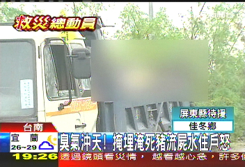 臭氣沖天!掩埋淹死豬流屍水 住戶怒