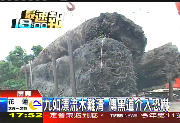 〈獨家〉漂流木龐大利益 黑道介入檢座壓陣