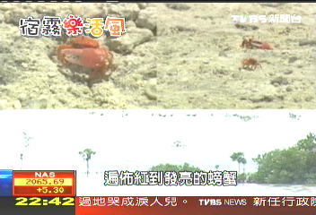 【宿霧樂活風】台灣大學生　跨海到宿霧救溼地