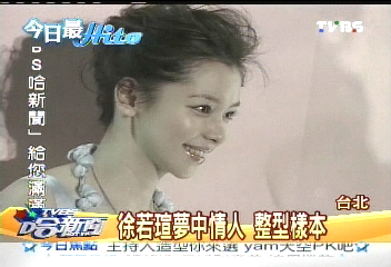 徐若瑄夢中情人 整型樣本