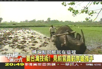 【中國進行式】優惠的誘惑! 直探大陸台灣農民園