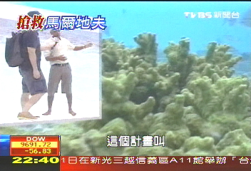 【搶救馬爾地夫】馬爾地夫海洋保育　美麗珊瑚世界