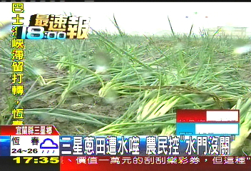 芭瑪颱風/三星蔥田遭水噬 農民控訴「水門沒關」