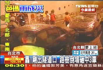 芭瑪颱風/轟!剛出隧道口 路樹倒塌砸中3車
