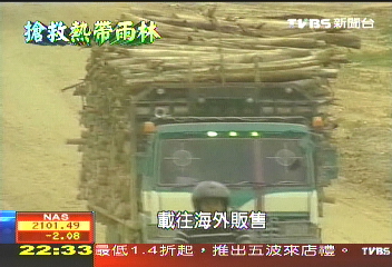 【搶救熱帶雨林】財團買地放火燒　熱帶雨林大浩劫