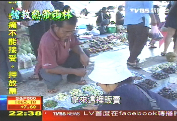 【搶救熱帶雨林】「洗澡順便尿」　你也可輕鬆保護雨林