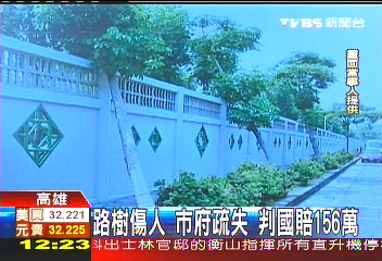 路樹傷人！市府疏失　判國賠156萬