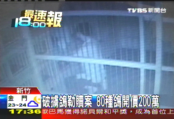 破擄鴿勒贖案 80種鴿開價200萬