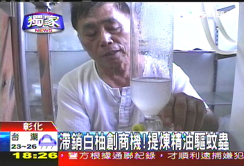 〈獨家〉滯銷白柚創商機！　提煉精油驅蚊蟲