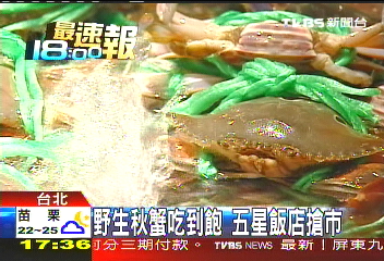 野生秋蟹吃到飽 五星飯店搶市