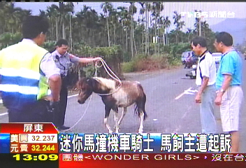 迷你馬撞機車騎士　馬飼主遭起訴