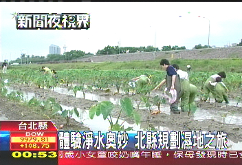 體驗淨水奧妙　北縣規劃溼地之旅