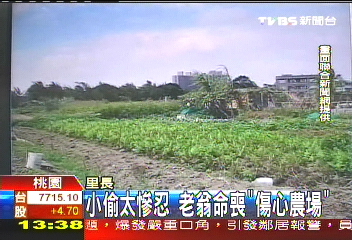 小偷太慘忍 老翁命喪「傷心農場」