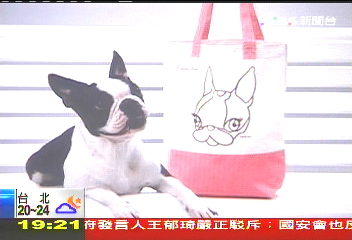 〈獨家〉百貨「招財狗毯」吸金 仿日雜行銷手法