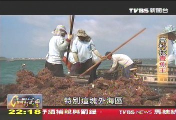 【一步一腳印】高科技養魚大王　轉行只為找健康的魚(下)