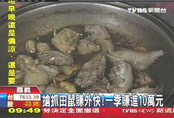 搶抓田鼠賺外快！　一季賺進10萬元