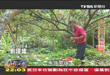 【一步一腳印】四代古法曬柿餅 「陽光捕手」頑固的堅持