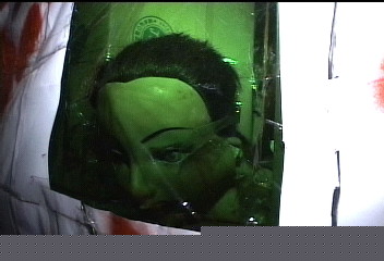 東海鬼屋漏稅？　市府：免徵娛樂稅