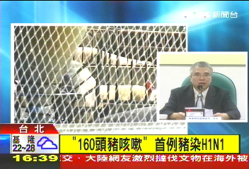 〈快訊〉首例豬染H1N1 防檢局:已迅速隔離