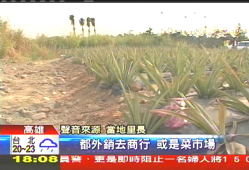 不只毒鴨？魚池、鳳梨田　緊鄰爐渣場