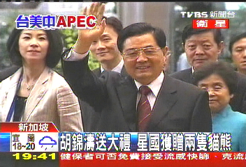 APEC‧09/胡錦濤送大禮 星國獲贈2隻貓熊