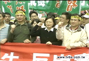 美牛開放/嗆馬解禁美牛 綠營遊行選舉暖身