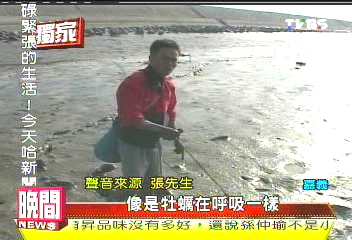 〈獨家〉錢難賺!抓土龍難度高 行家日撈上萬