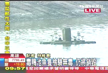 毒鴨池魚隻檢驗未超標 仍全面銷毀