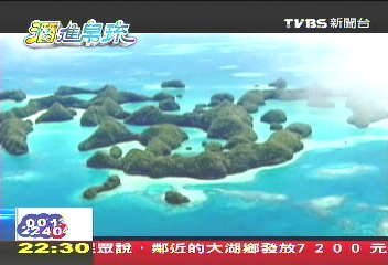 【「潛」進帛琉】上萬水母壯觀奇景　靠水母救地球