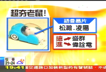 小老鼠救股市! 杜拜海嘯不敵耶誕財