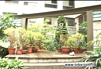 狗便廚餘從天降　監視器仰角揪惡鄰