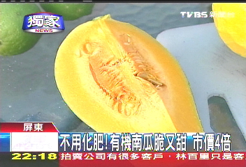 〈獨家〉不用化肥！　有機南瓜脆又甜市價4倍