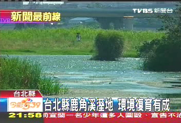 拚保育! 北縣著力淡水河流域整治