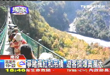 〈獨家〉爭睹楓紅和吊橋　遊客擠爆奧萬大
