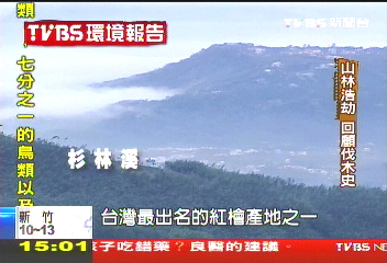 【TVBS環境報告】山林浩劫 回顧寶島伐木史