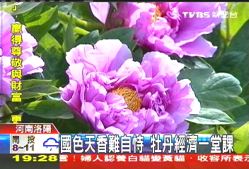 國色天香難自恃 牡丹經濟一堂課