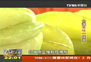 【一步一腳印】台灣果味一罐藏 酸甜盡在其中