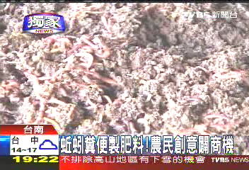 〈獨家〉蚯蚓糞便製肥料! 農民創意闢商機