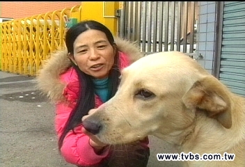 通緝犯愛犬「冬冬」　原來叫「碗粿」