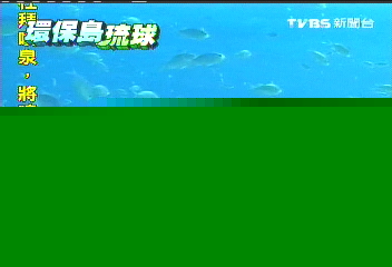 【環保島琉球】人工養殖珊瑚 琉球要重現「珊瑚海」