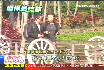【環保島琉球】種台灣椰子、鳳梨 台灣人綠化琉球島