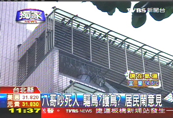〈獨家〉八哥吵死人!驅鳥?護鳥? 居民鬧意見